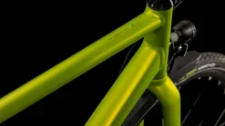 Citybike EDITOR RACE FE