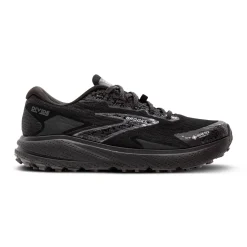 Damen Laufschuhe DIVIDE 5 GTX