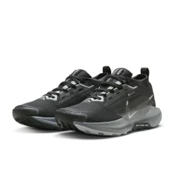 Damen Trailrunningschuhe PEGASUS TRAIL 5 GTX