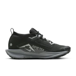 Damen Trailrunningschuhe PEGASUS TRAIL 5 GTX