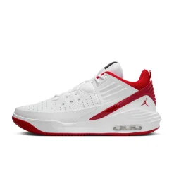 Herren Basketballschuhe JORDAN MAX AURA 5