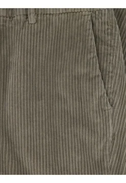 Herren Cordhose DAVIDE VELLUTO ROCCIATORE