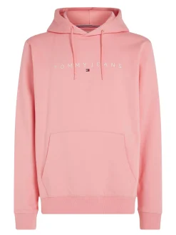 Herren Hoodie LINEAR LOGO