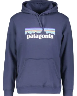 Herren Hoodie P-6 LOGO UPRISAL HOODY