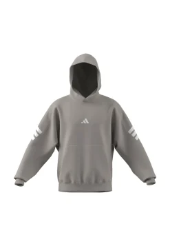 Herren Hoodie Regular Fit