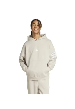 Herren Hoodie Regular Fit