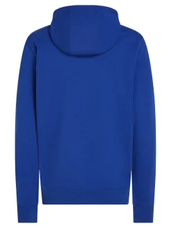 Herren Hoodie Regular Fit