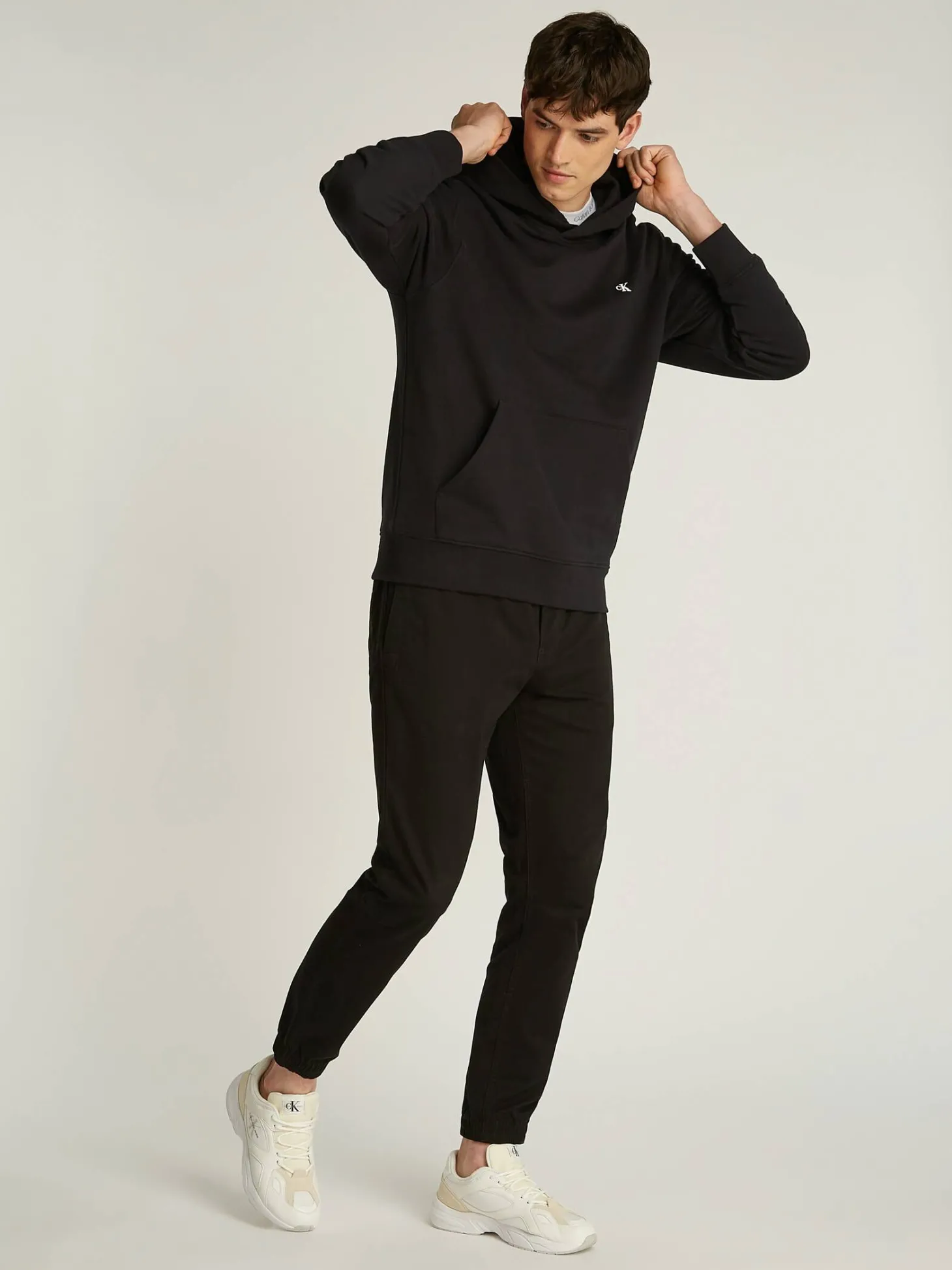 Herren Hoodie STAMP BACK GRAPHIC HOODIE