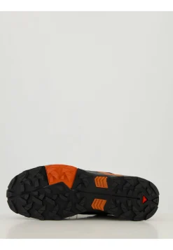 Herren Leichtwanderschuhe X ULTRA 5 GORE-TEX