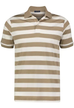 Herren Poloshirt aus Baumwolle und Seide Regular Fit