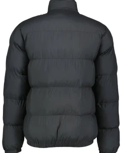 Herren Steppjacke NEWPORT PADDED JACKET