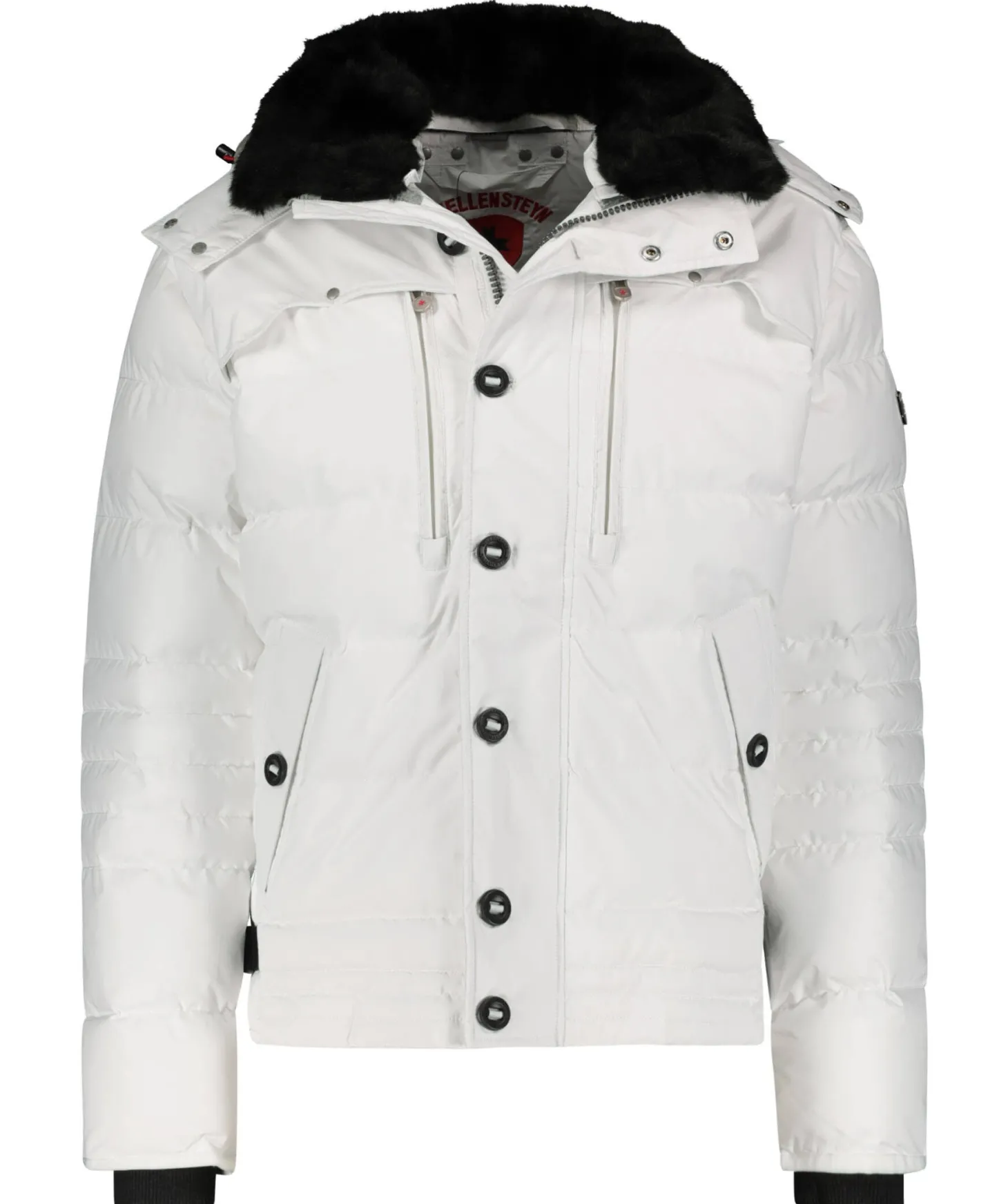 Herren Steppjacke "Starstream"