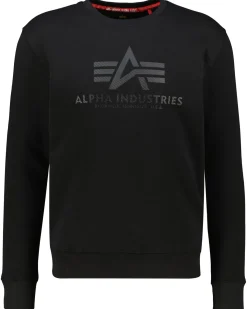 Herren Sweatshirt BASIC SWEATER CARBON