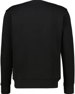 Herren Sweatshirt BASIC SWEATER CARBON