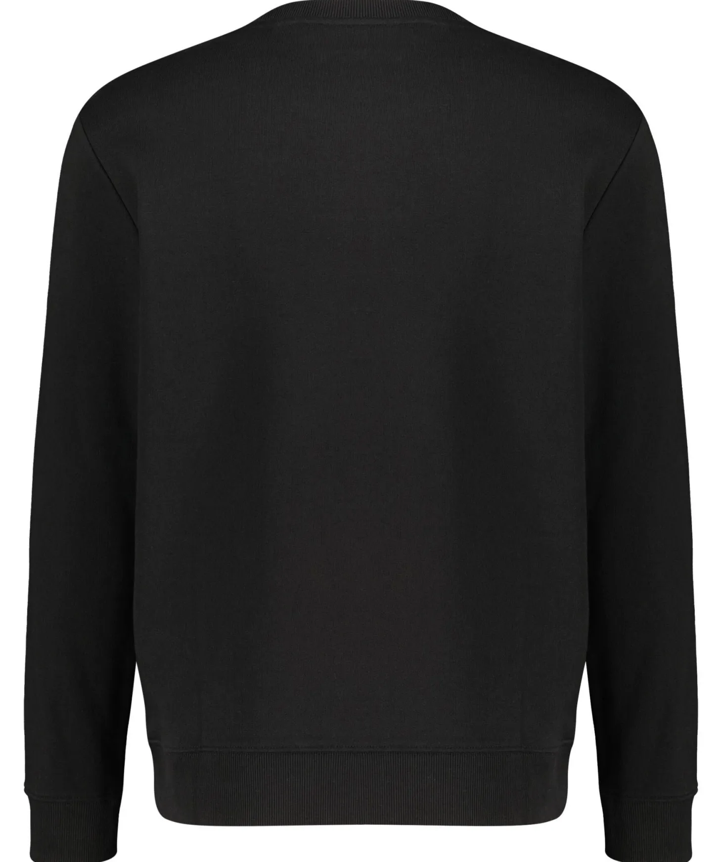 Herren Sweatshirt DIRAGOL212