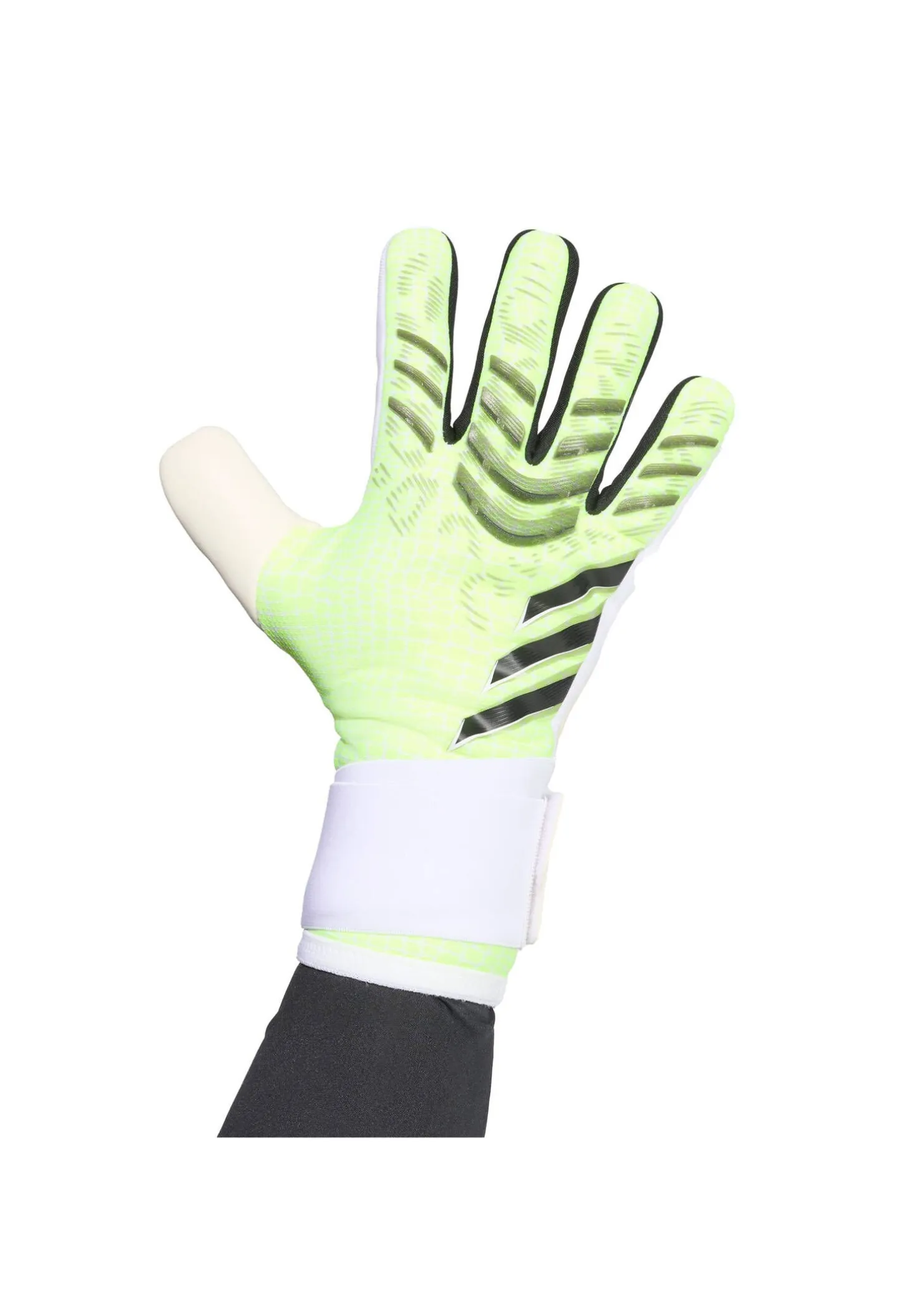 Herren Torwarthandschuhe PREDATOR COM