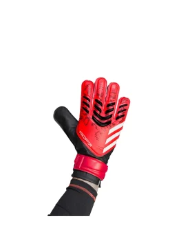 Herren Torwarthandschuhe PREDATOR TRAINING