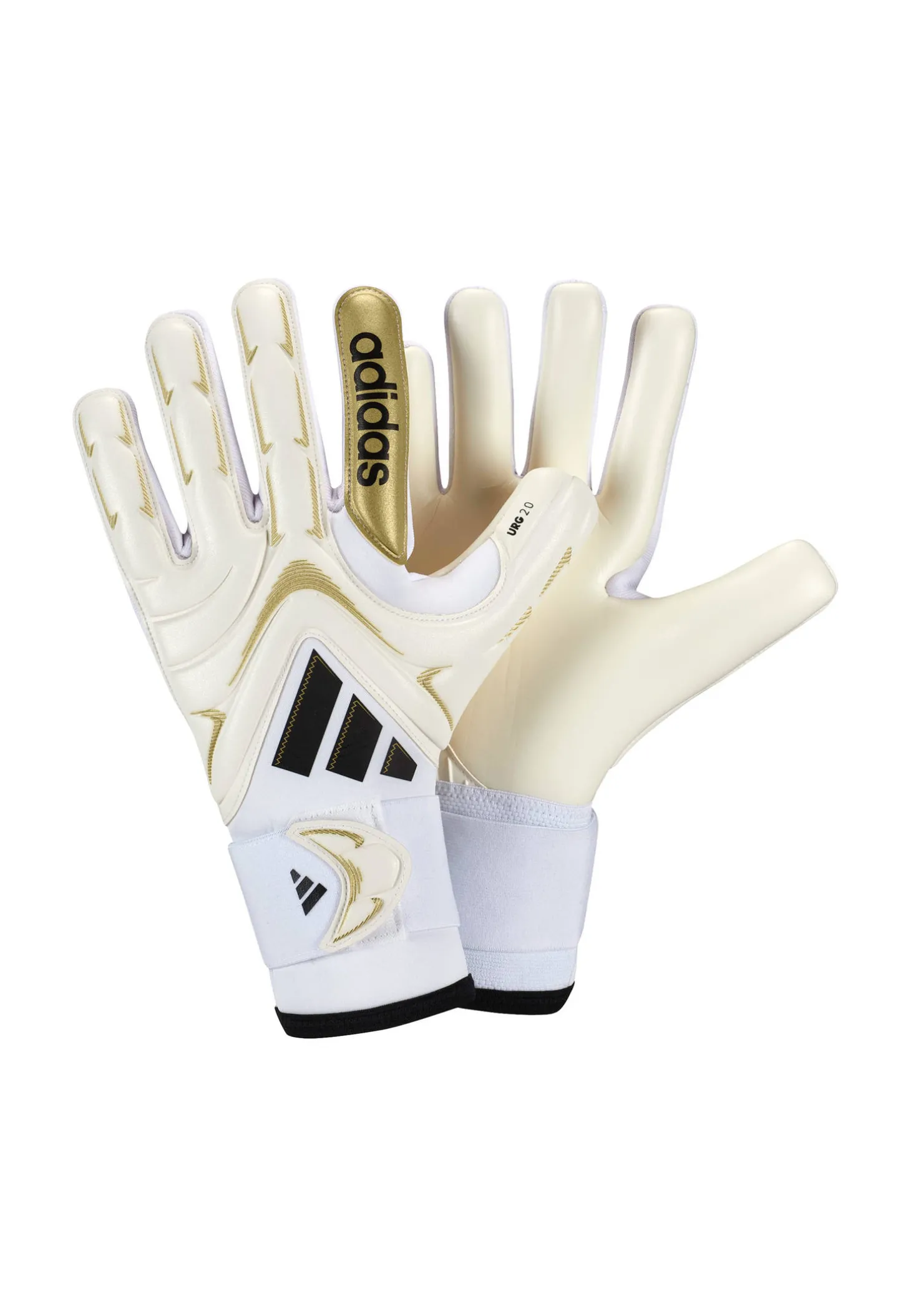 Herren Torwarthandschuhe COPA PRO