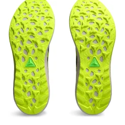 Herren Trail-Laufschuhe FUJI LITE 5