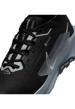 Herren Traillaufschuhe PEGASUS TRAIL 5 GTX