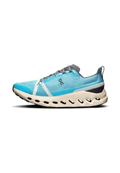 Herren Trailrunningschuhe CLOUDSURFER TRAIL