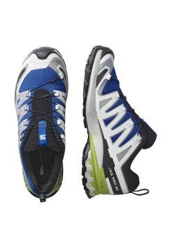 Herren Trailrunningschuhe XA PRO 3D V9