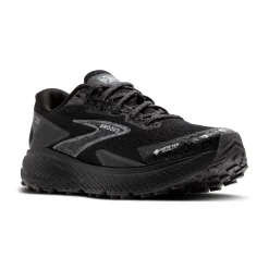 Herren Trailrunningschuhe DIVIDE 5 GTX