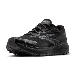 Herren Trailrunningschuhe DIVIDE 5 GTX