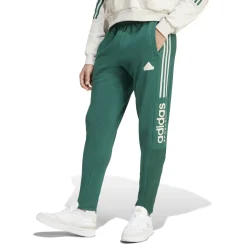 Herren Trainingshose TIRO FL