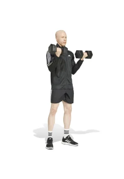 Herren Trainingsjacke Regular Fit