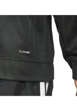 Herren Trainingsjacke Regular Fit