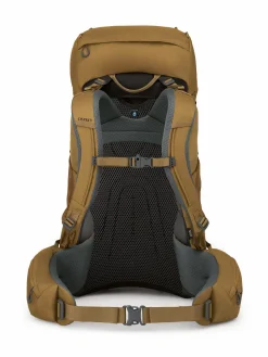 Herren Trekkingrucksack ROOK 65