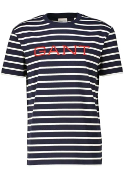 Herren T-Shirt GRAPHIC STRIPED