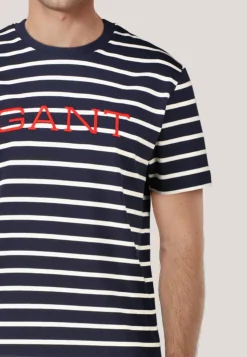 Herren T-Shirt GRAPHIC STRIPED