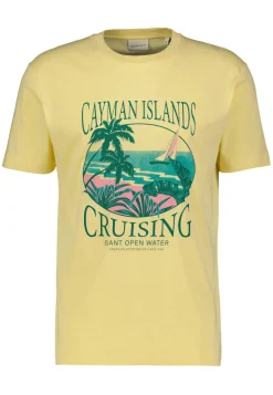 Herren T-Shirt PLACED GRAPHIC