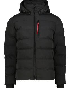 Herren Winterjacke BLACKBIRD SHORT