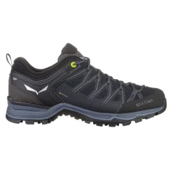 Herren Zustiegsschuhe MS MOUNTAIN TRAINER LITE GTX