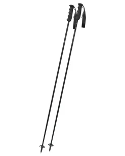 Skistöcke VICTORY CARBON