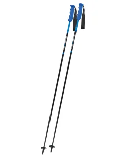 Skistöcke VICTORY CARBON